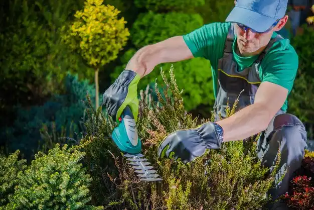 landscaping services Grant City